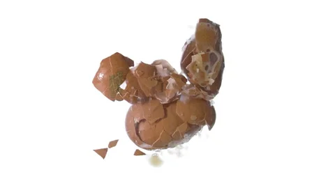 Egg Empty Shell Drop and Break with albumen with Alpha Stock Footage 143483314