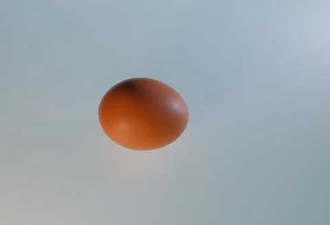 Egg on endless ground Stock Photos