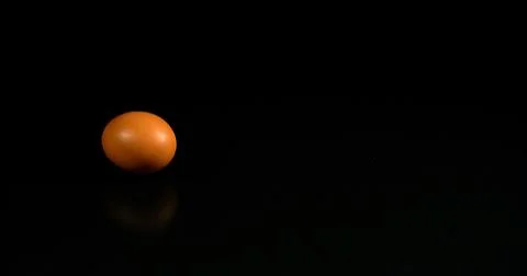 Egg falling and Exploding on black background Stock Photos