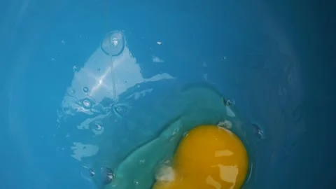 Egg falling into blue bowl Stock Footage 310030215