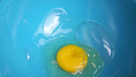 Egg falling into blue plate in slow motion Stock Footage 310029980