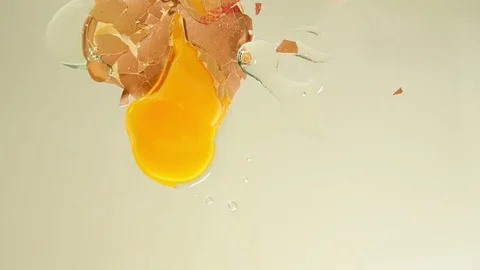 Egg falling to camera slow motion Stock Footage 72273941