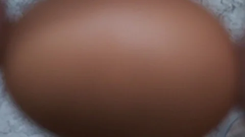 Egg falling on the ground Stock Footage