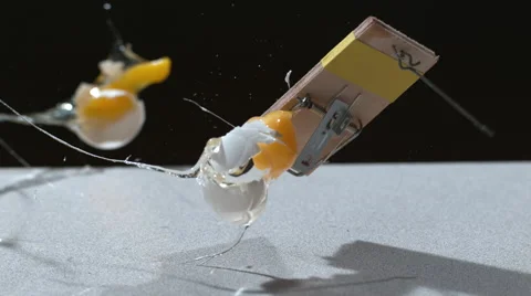 Egg falling onto mouse trap at 1000 frames per second Stock-Footage 66769197