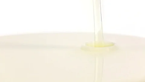 Egg falls in plate with milk. Slow motion, super closeup Vidéo 76150229