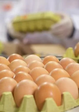 Egg farm Stock Photos