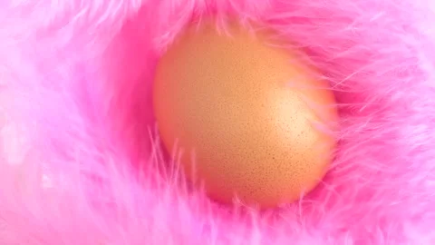 Egg on feathers, macro. Baby Shower girl concept with egg and pink feathers.. Stock Footage 256164475