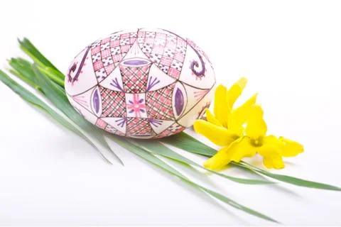 Egg with flower Stock Photos