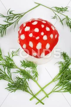 Egg - a fly agaric Stock Photos