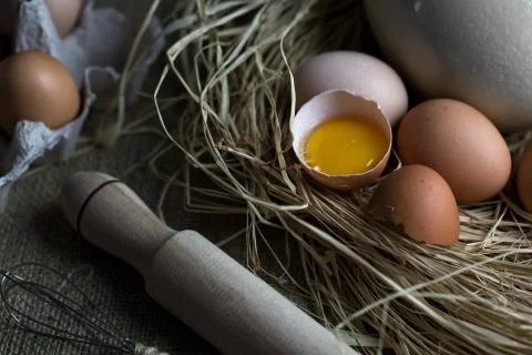 Egg folk and chicken egg in straw nest, small eggbeater Stock Photos