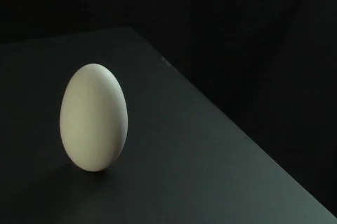 Egg Video stock 92310