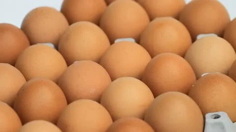 Egg Stock Footage 11870652
