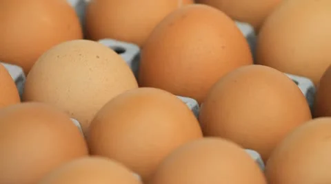 Egg Vídeo Stock 11870955