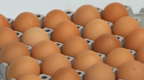 Egg 库存影片 11871313