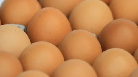 Egg Stock Footage 11871679