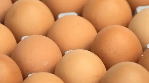 Egg 動画素材 11954723