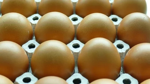 Egg Stock Footage 76031699