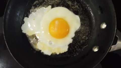 Egg Vidéo 159317316