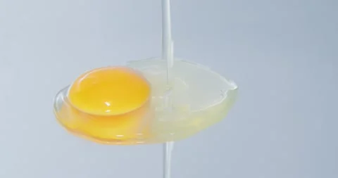 Egg Stock Footage 237370236
