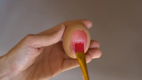 Egg Stock Footage 268437306