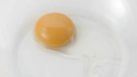 Egg Stock Footage 327408660