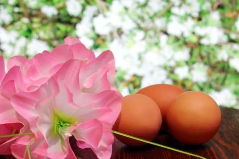 Egg in the foreground Stock Photos