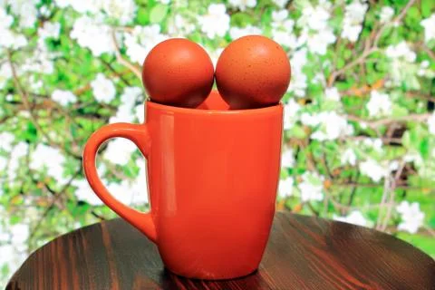 Egg in the foreground Stock Photos