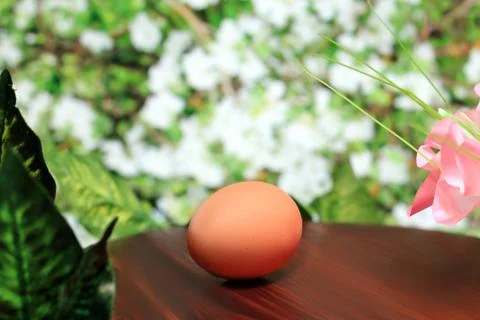 Egg in the foreground Stock Photos