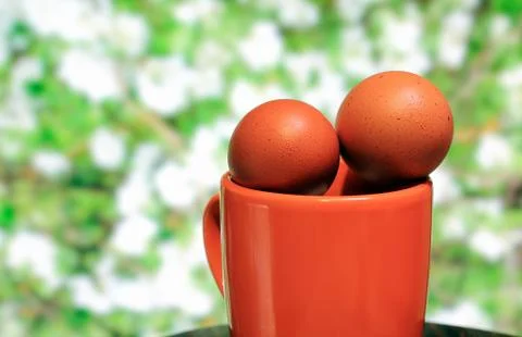 Egg in the foreground Stock Photos