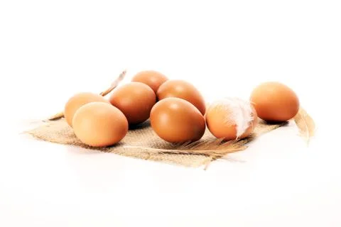 Egg. Fresh farm eggs. Easter egg with feather Stock Photos