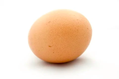 An egg is fresh Stock Photos