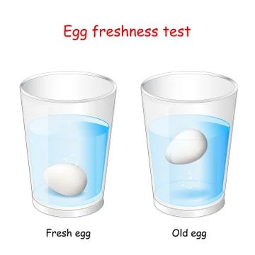 Egg freshness test Stock Illustration
