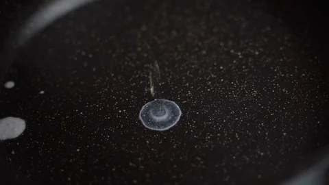 Egg Fried In A Pan Without Sunflower Oil Stock Footage 122176410