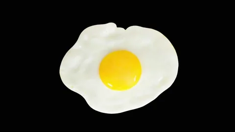 Egg fried, with round yolk 库存影片 209561647