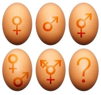 Egg gender Stock Illustration