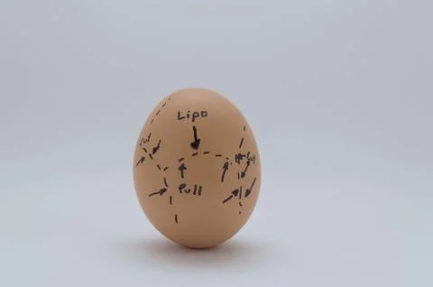 Egg gets liposuction Stock Photos