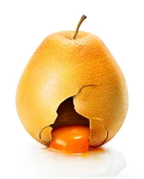 Egg in grapefruit ruby Stock Photos