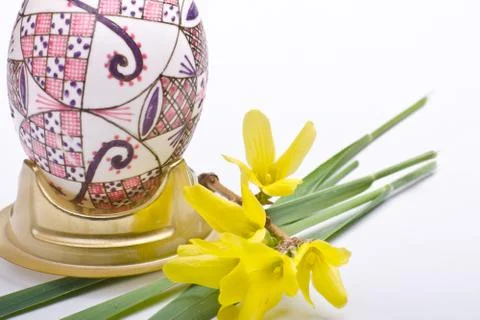 Egg with grass Stock Photos