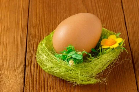 Egg the green nest Stock Photos