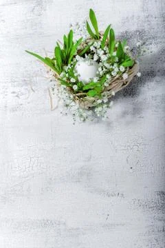 Egg with Gypsophila prepared for Easter Stock Photos
