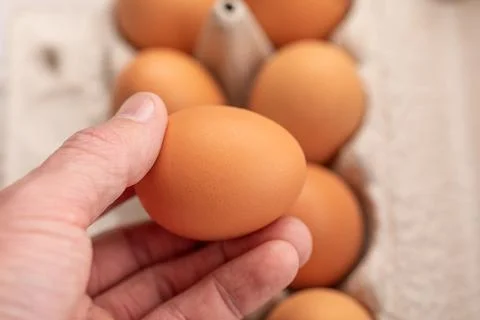 Egg on hand and eggs background for cooking soft focus. Stock Photos
