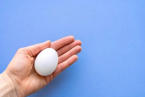 Egg in hand on a blue background close-up. Stock Photos