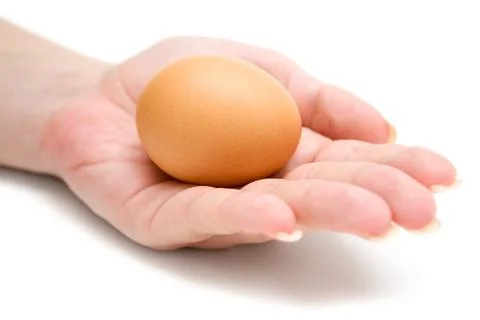 Egg in Hand Isolated on a White Background Foto stock