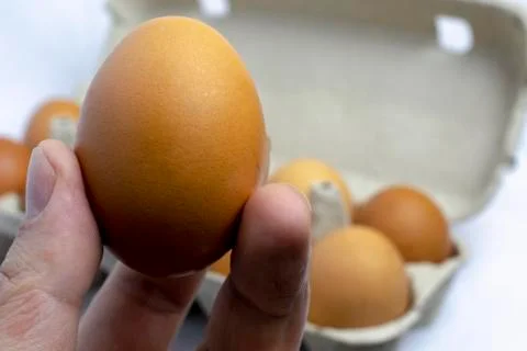 Egg in hand with packaging eggs in the background Foto stock