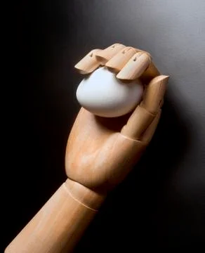 Egg in Hand. Stock Photos