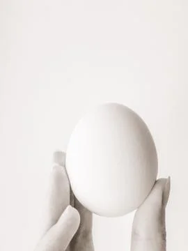 The egg in hand 스톡 사진
