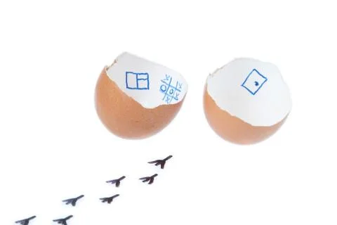 From the egg hatched chick. On a white background. Stock Photos