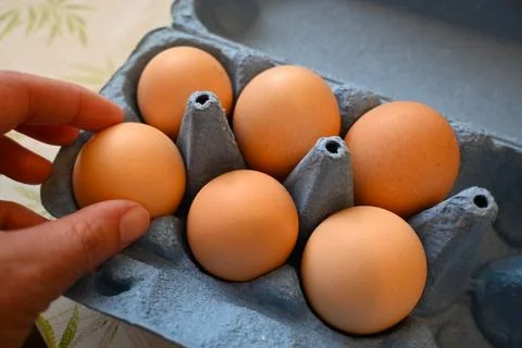 Egg held in hand close-up Fotos Stock