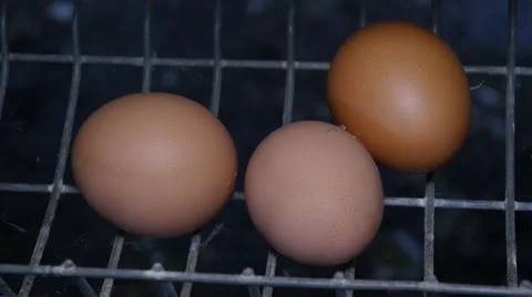 Egg in hen basket Video stock 62536840