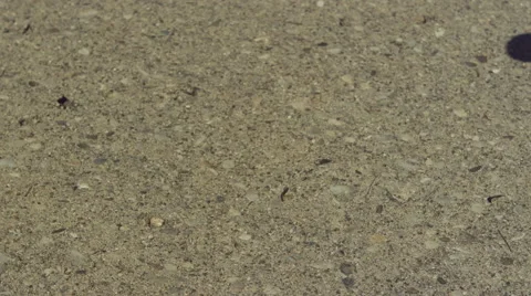 Egg hits ground in slow motion fall Stockbeeldmateriaal 63402184